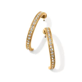 Brighton Meridian Zenith Medium Hoop Earrings